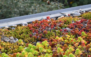 the cost of Harborne green roof installation