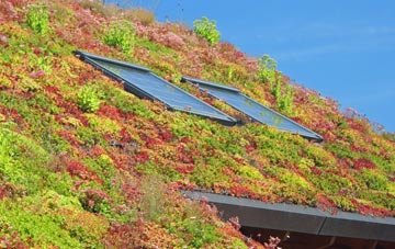 Harborne living roof systems