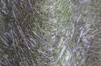 Harborne fibreglass roof work